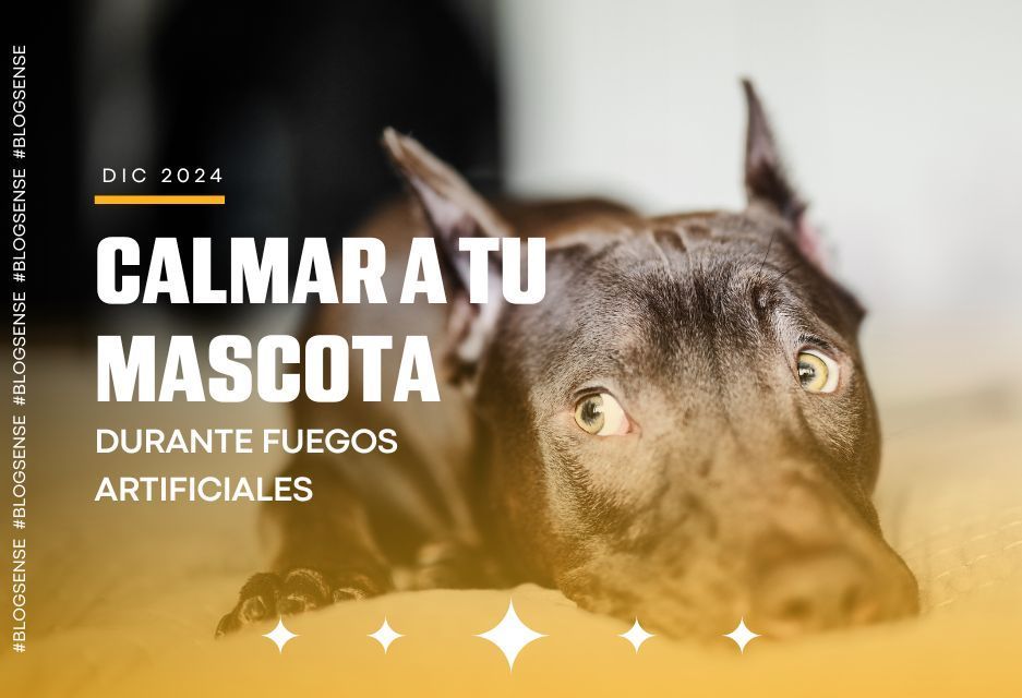 Calmar a tu mascota durante fuegos artificiales Calmar a tu mascota durante fuegos artificiales
